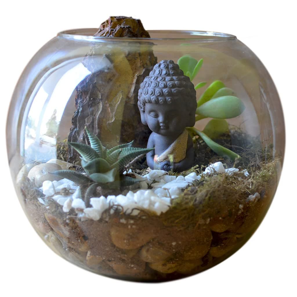 myBageecha - The Pondering Buddha DIY Terrarium Kit Live Plants Wood Zen Miniature Home Garden Decor Glass Gift Items Beautiful House Decoration Tabletop 8 Inch