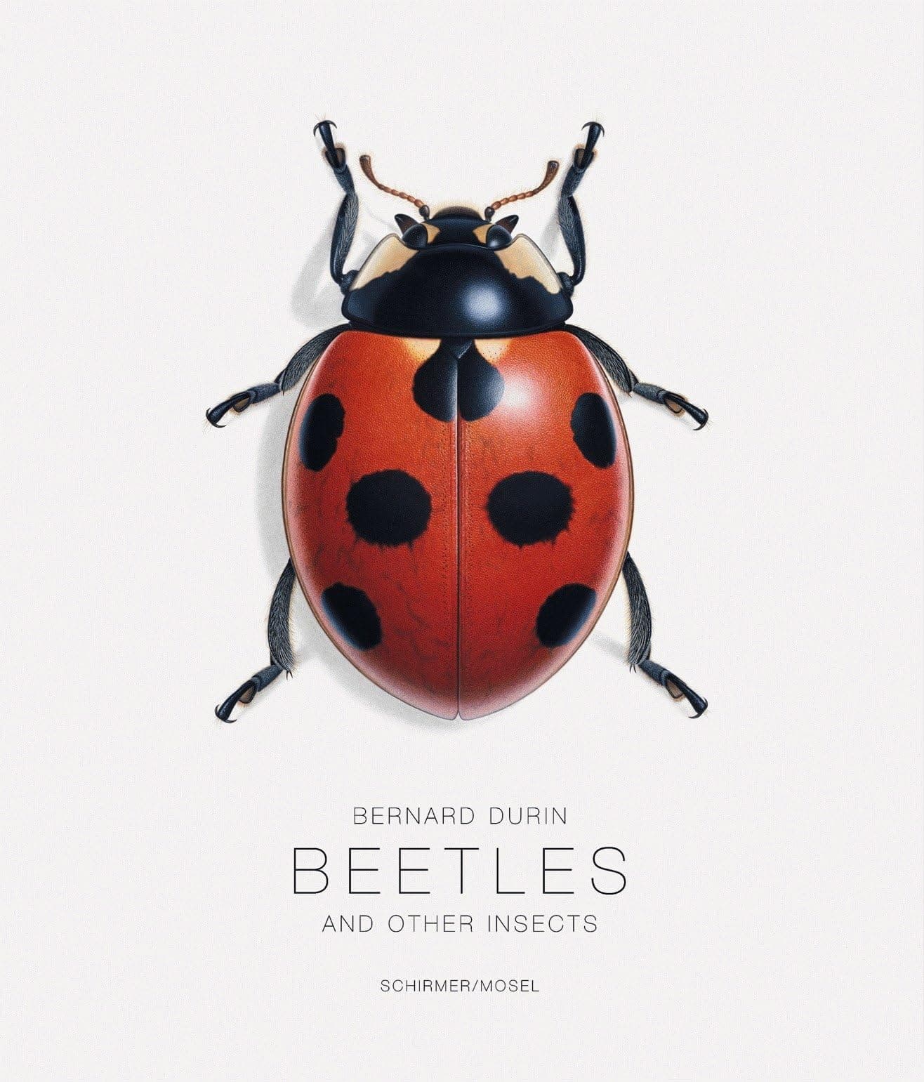 Bernard Durin: Beetles and Other Insects Hardcover ā November 13, 2013