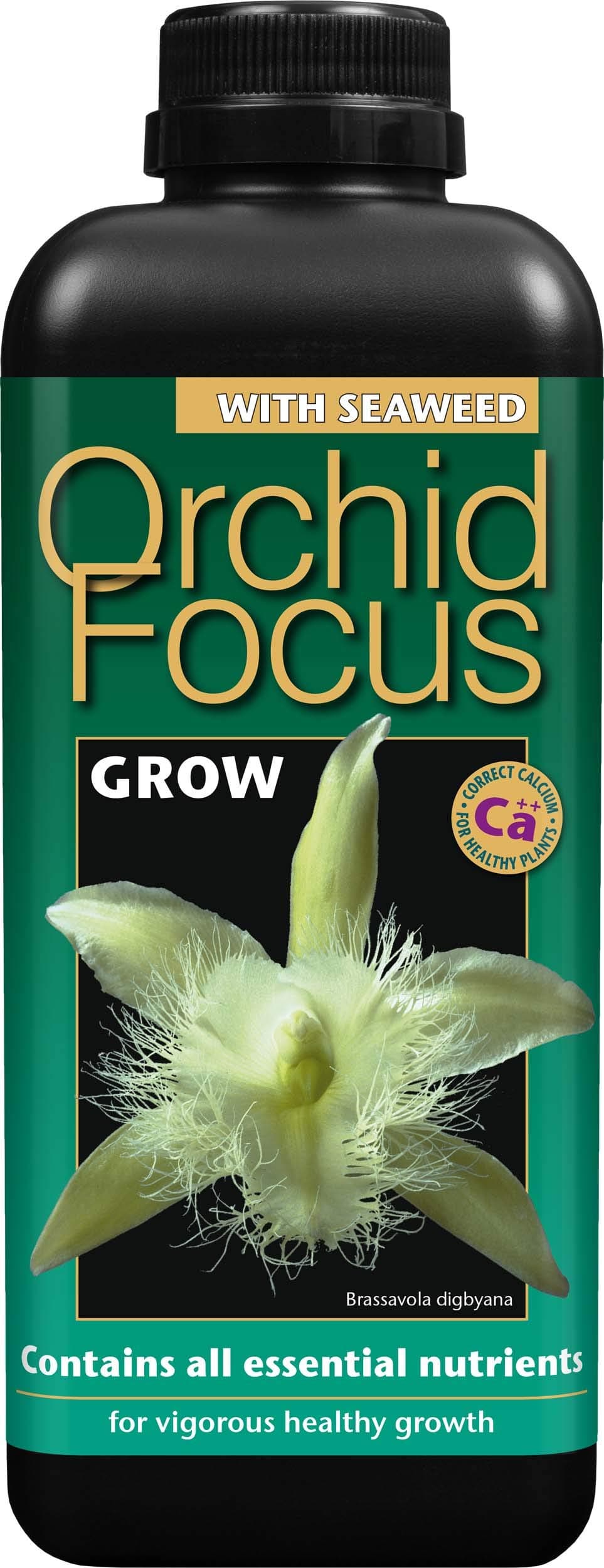 Ltd GTOFG1 Orchid Focus Grow 1 Litre