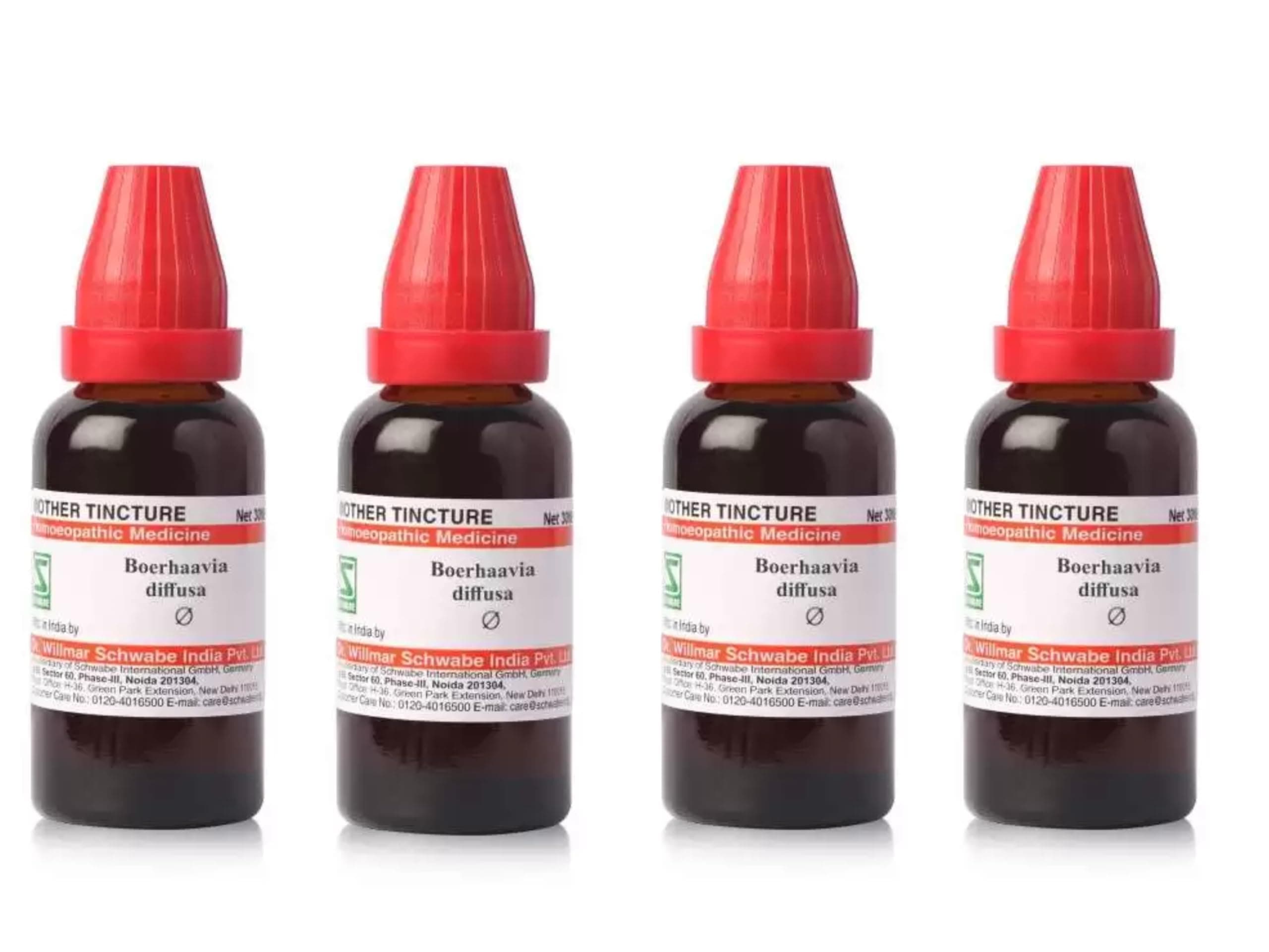 Dr. Willmar Schwabe India Boerhaavia Diffusa Q Pack of 4