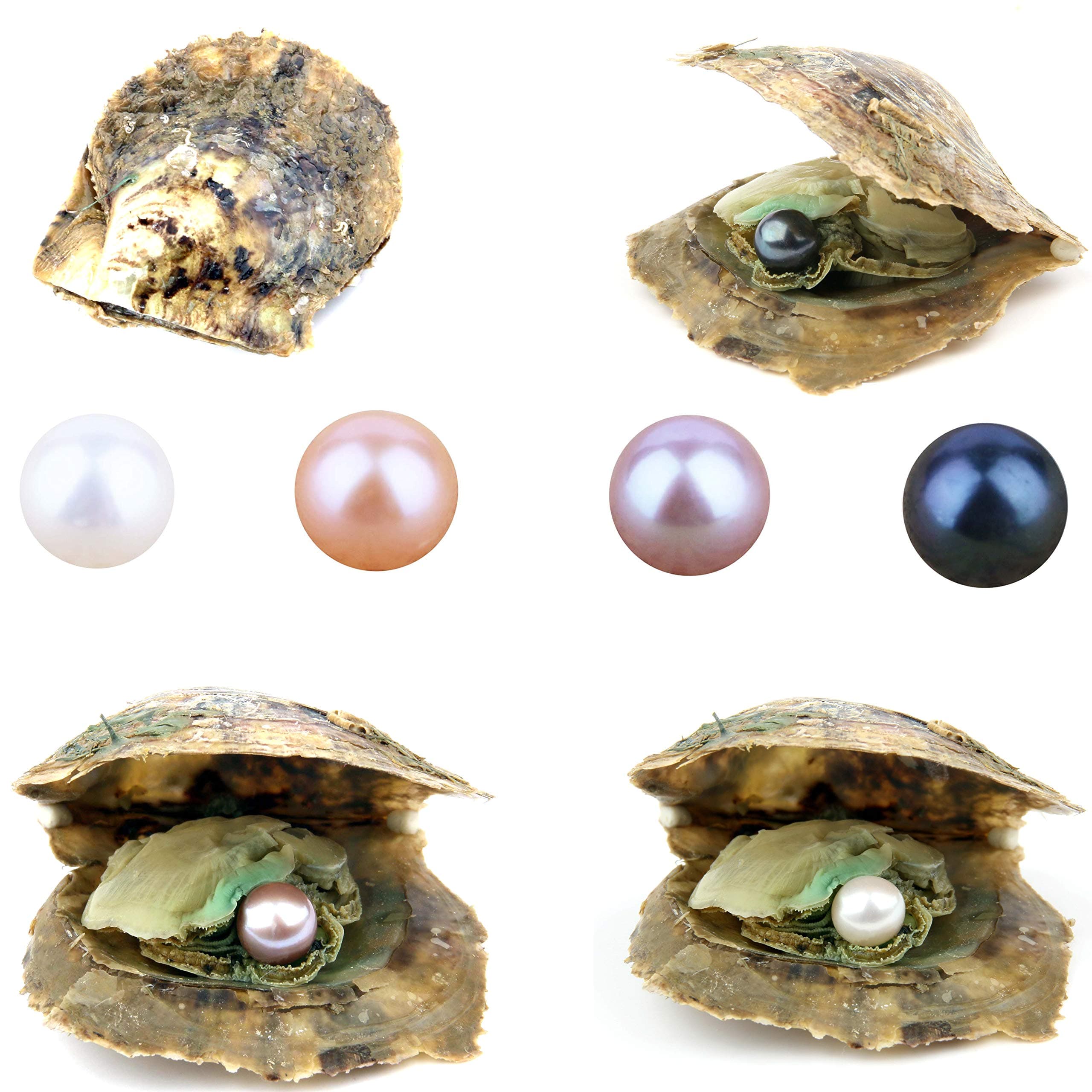 QSLLER 4PCS Saltwater Akoya Cultured Pearl Oyster with Round Pearl (6.5-7.5mm) Inside Jewelry Making or Birthday Gifts 4 Colors