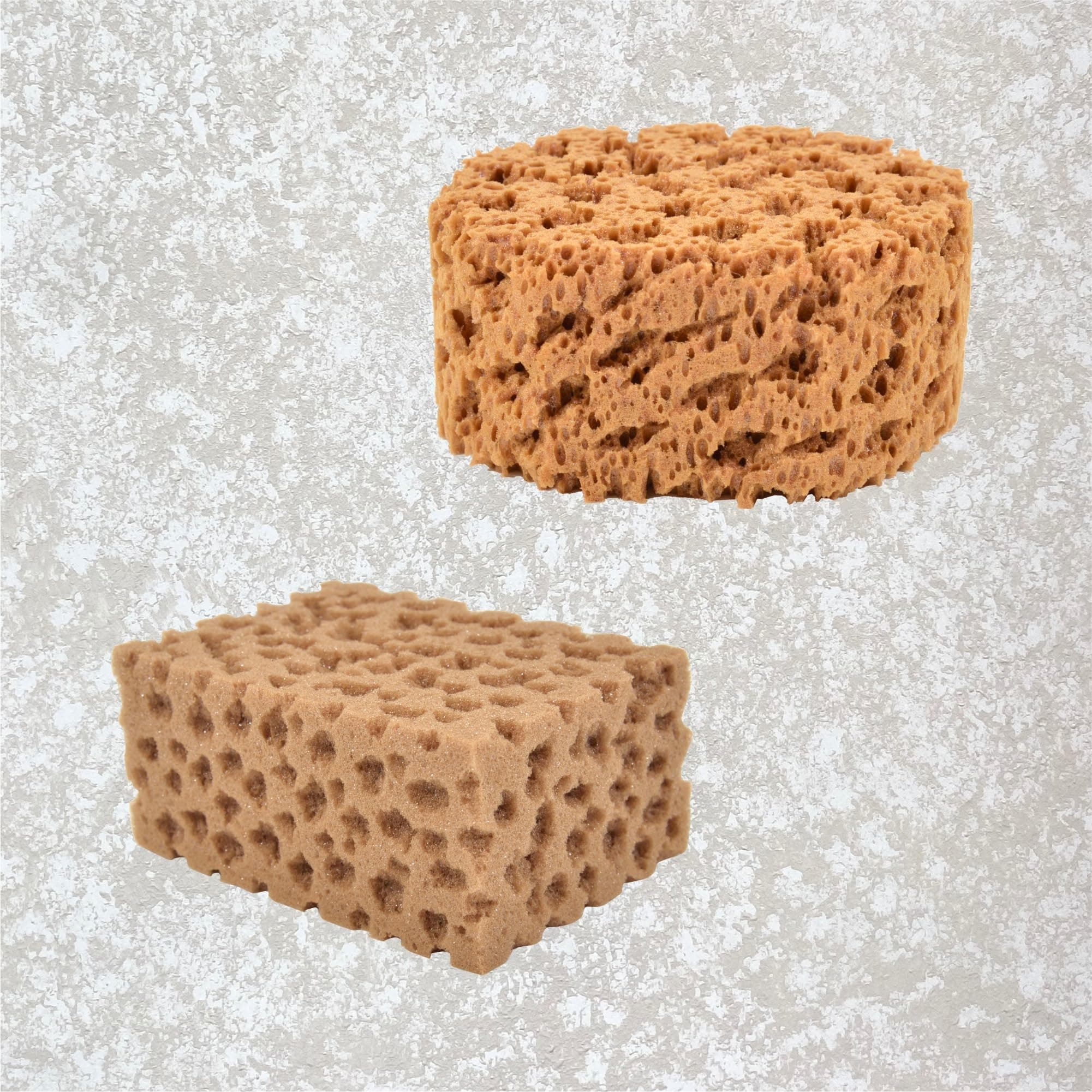 Hanroy Large Sea Sponges for Artists Unbleached 2pc Value Pack Art Texturing Decorators Sponging Great for Home Wall Painting Decorating (HMTZ-2)