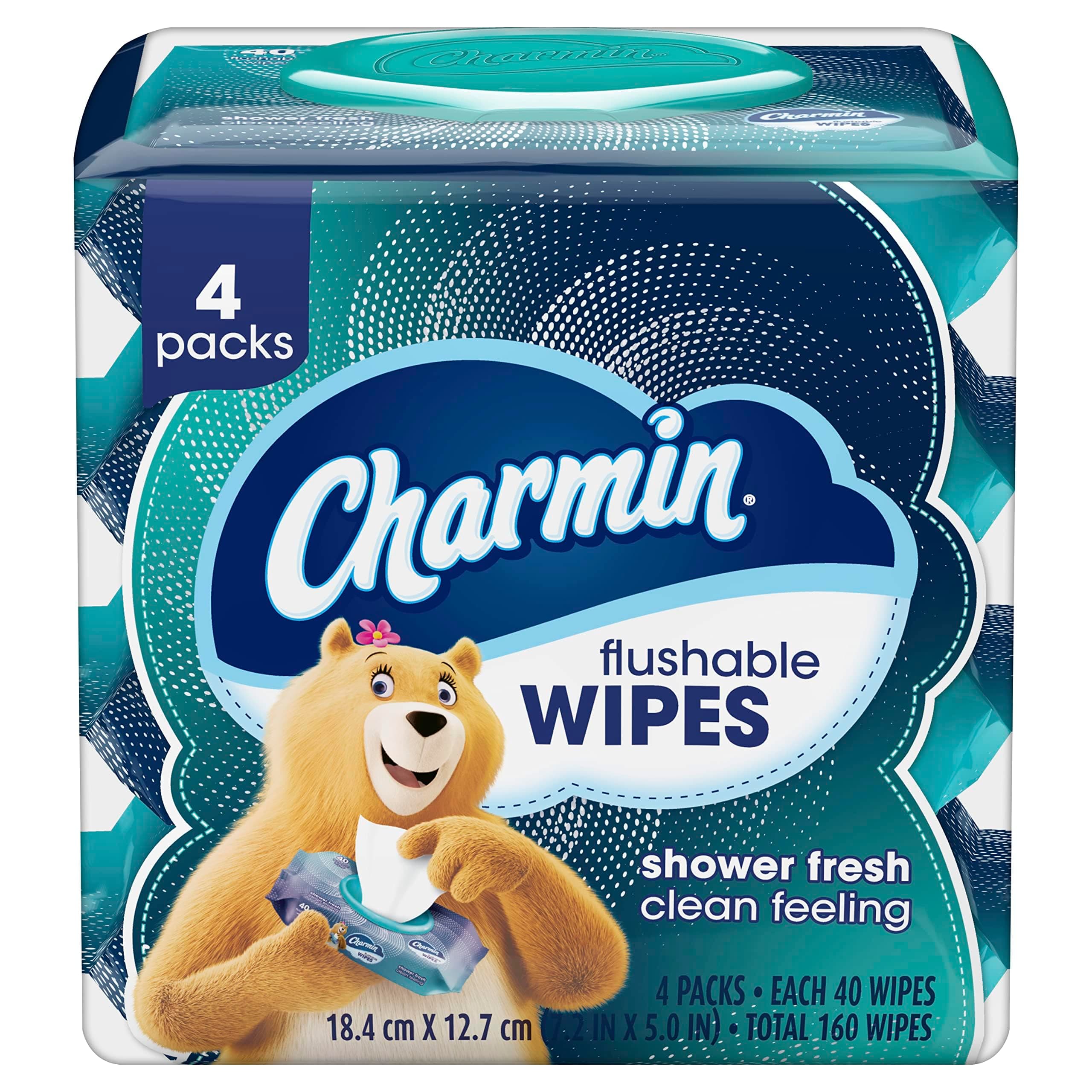 Flushable Wipes, 160 Total Wipes (4 Packs of 40)